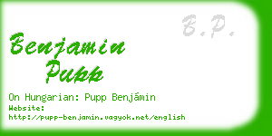 benjamin pupp business card